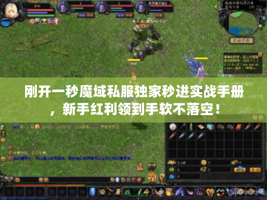 刚开一秒魔域私服独家秒进实战手册，新手红利领到手软不落空！