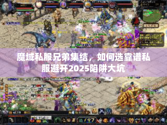 魔域私服兄弟集结，如何选靠谱私服避开2025陷阱大坑