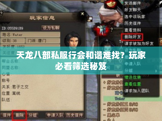 天龙八部私服行会和谐难找？玩家必看筛选秘笈