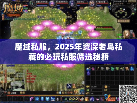 魔域私服，2025年资深老鸟私藏的必玩私服筛选秘籍