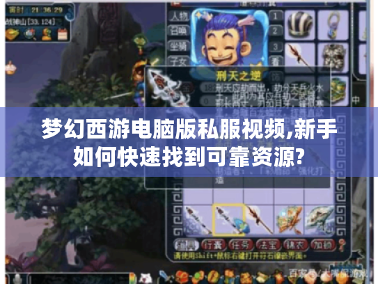 梦幻西游电脑版私服视频,新手如何快速找到可靠资源?