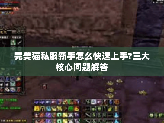 完美猫私服新手怎么快速上手?三大核心问题解答