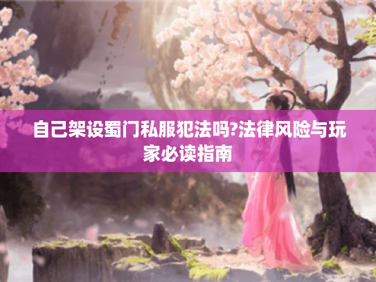 自己架设蜀门私服犯法吗?法律风险与玩家必读指南