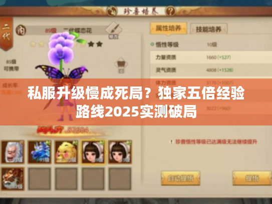 私服升级慢成死局？独家五倍经验路线2025实测破局