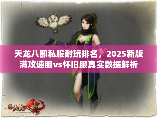 天龙八部私服耐玩排名，2025新版满攻速服vs怀旧服真实数据解析