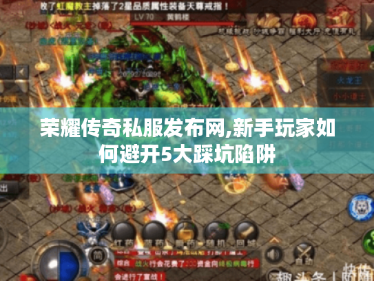 荣耀传奇私服发布网,新手玩家如何避开5大踩坑陷阱