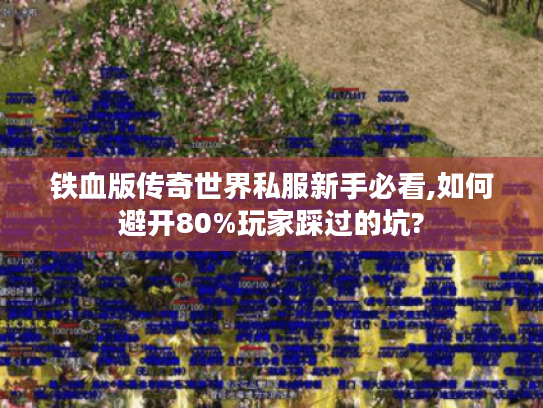 铁血版传奇世界私服新手必看,如何避开80%玩家踩过的坑?