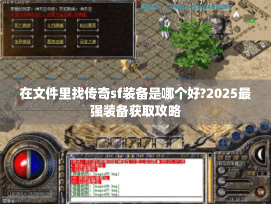 在文件里找传奇sf装备是哪个好?2025最强装备获取攻略