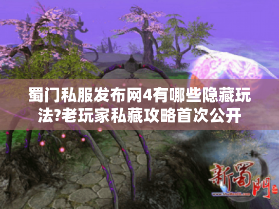 蜀门私服发布网4有哪些隐藏玩法?老玩家私藏攻略首次公开