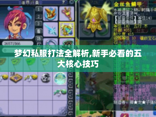 梦幻私服打法全解析,新手必看的五大核心技巧