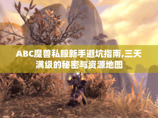 ABC魔兽私服新手避坑指南,三天满级的秘密与资源地图