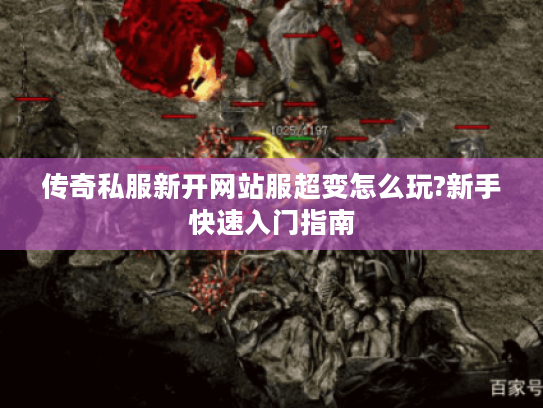 传奇私服新开网站服超变怎么玩?新手快速入门指南 传奇私服新开网站服超变怎么玩?新手快速入门指南