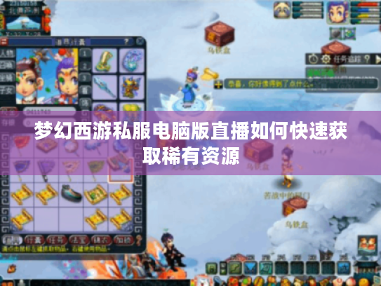梦幻西游私服电脑版直播如何快速获取稀有资源