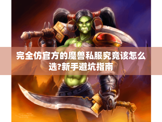 完全仿官方的魔兽私服究竟该怎么选?新手避坑指南