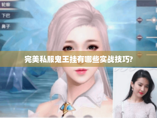 完美私服鬼王挂有哪些实战技巧?
