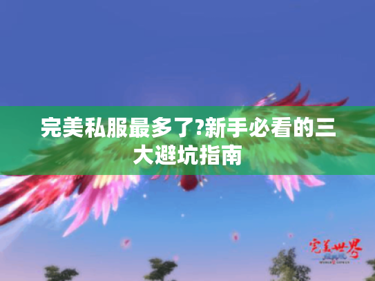 完美私服最多了?新手必看的三大避坑指南