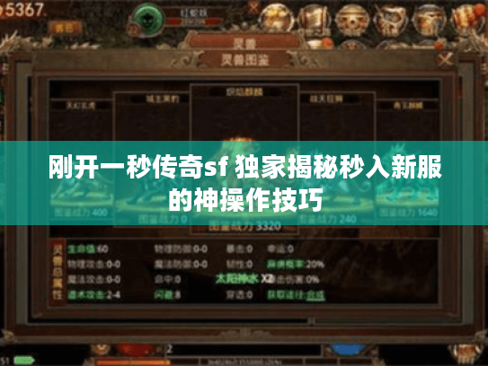 刚开一秒传奇sf 独家揭秘秒入新服的神操作技巧