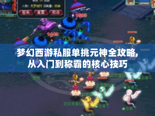 梦幻西游私服单挑元神全攻略,从入门到称霸的核心技巧
