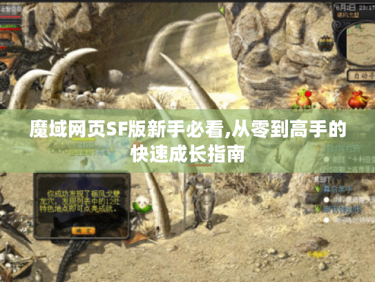 魔域网页SF版新手必看,从零到高手的快速成长指南