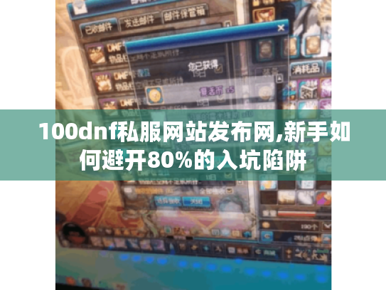 100dnf私服网站发布网,新手如何避开80%的入坑陷阱