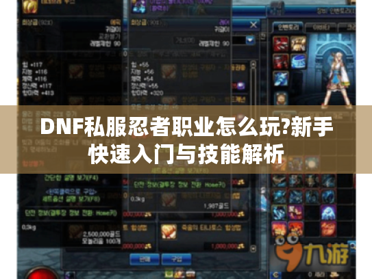 DNF私服忍者职业怎么玩?新手快速入门与技能解析