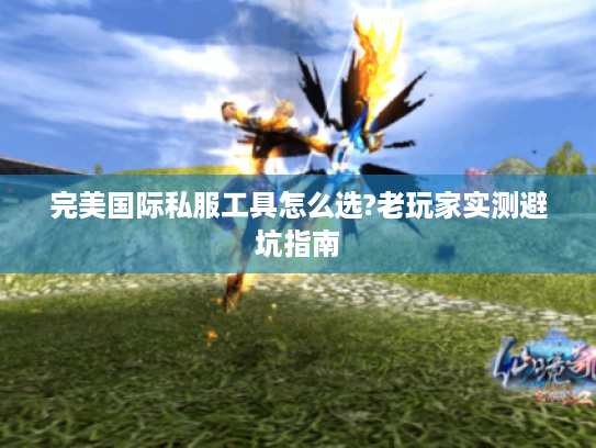 完美国际私服工具怎么选?老玩家实测避坑指南