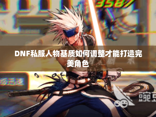 DNF私服人物基质如何调整才能打造完美角色 DNF私服人物基质如何调整才能打造完美角色