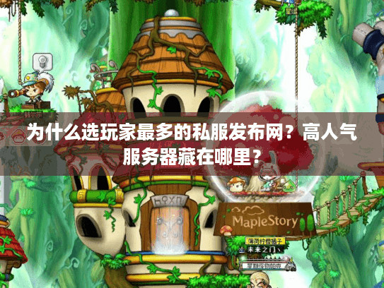 为什么选玩家最多的私服发布网？高人气服务器藏在哪里？