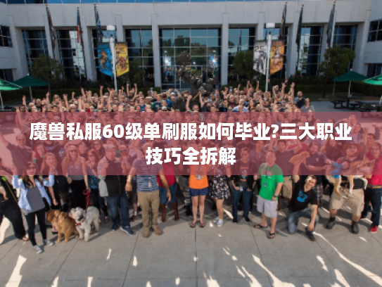 魔兽私服60级单刷服如何毕业?三大职业技巧全拆解