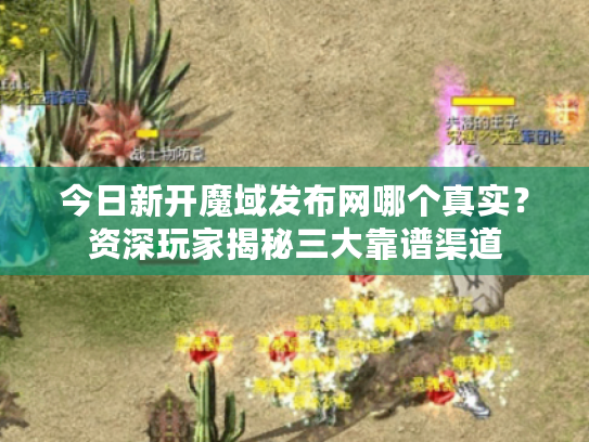 今日新开魔域发布网哪个真实？资深玩家揭秘三大靠谱渠道