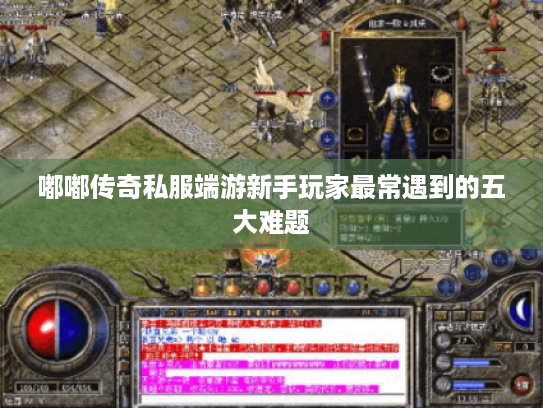 嘟嘟传奇私服端游新手玩家最常遇到的五大难题