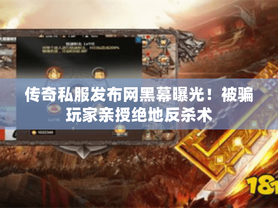 传奇私服发布网黑幕曝光！被骗玩家亲授绝地反杀术