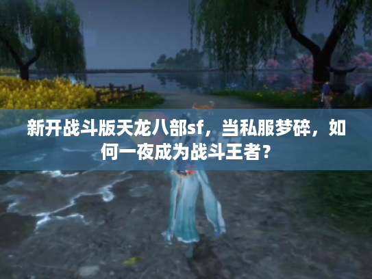新开战斗版天龙八部sf，当私服梦碎，如何一夜成为战斗王者？