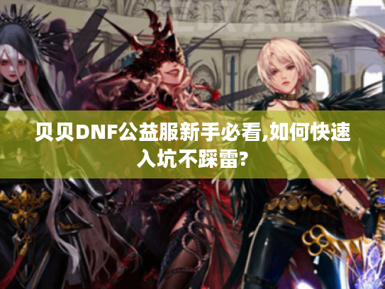贝贝DNF公益服新手必看,如何快速入坑不踩雷?