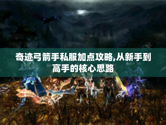 奇迹弓箭手私服加点攻略,从新手到高手的核心思路