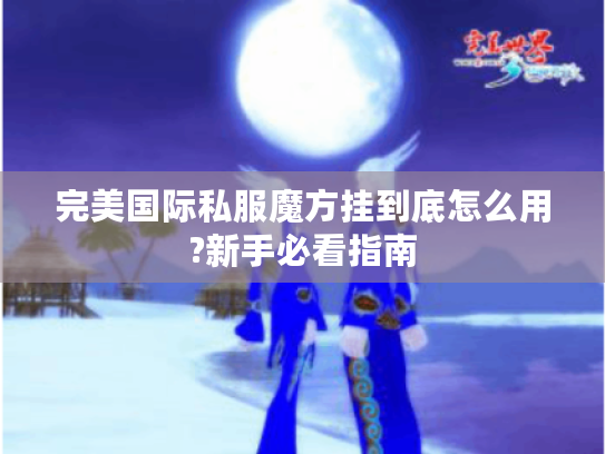 完美国际私服魔方挂到底怎么用?新手必看指南