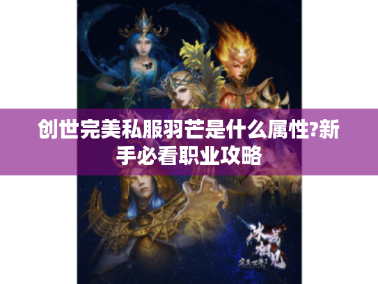 创世完美私服羽芒是什么属性?新手必看职业攻略