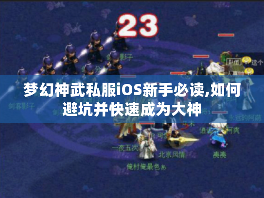 梦幻神武私服iOS新手必读,如何避坑并快速成为大神