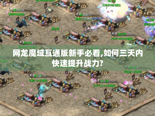 网龙魔域互通版新手必看,如何三天内快速提升战力?