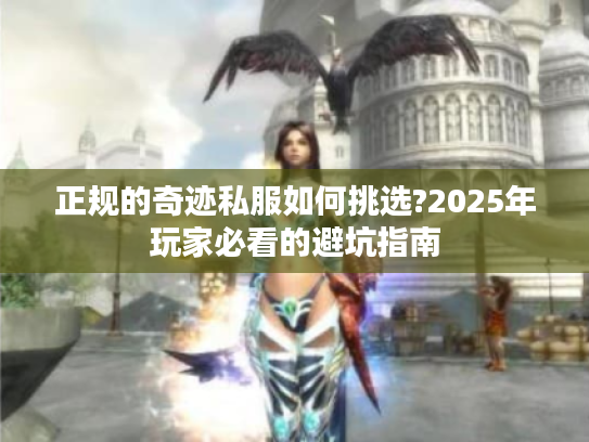 正规的奇迹私服如何挑选?2025年玩家必看的避坑指南