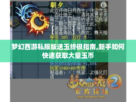梦幻西游私服版送玉终极指南,新手如何快速获取大量玉币