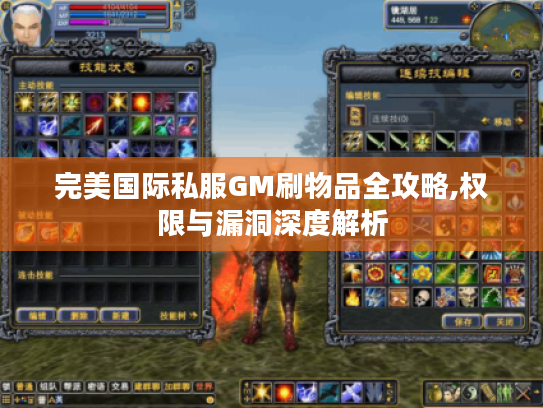 完美国际私服GM刷物品全攻略,权限与漏洞深度解析