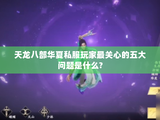 天龙八部华夏私服玩家最关心的五大问题是什么? 天龙八部华夏私服玩家最关心的五大问题是什么?