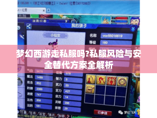 梦幻西游走私服吗?私服风险与安全替代方案全解析