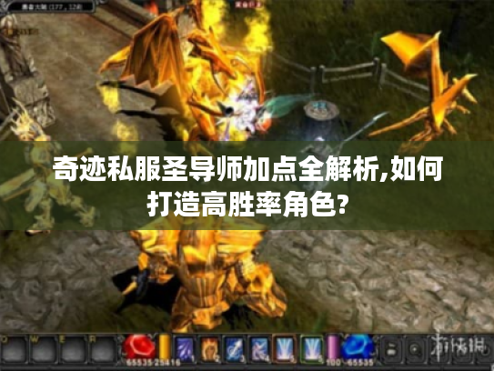 奇迹私服圣导师加点全解析,如何打造高胜率角色?