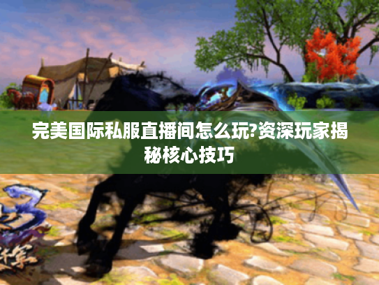 完美国际私服直播间怎么玩?资深玩家揭秘核心技巧 完美国际私服直播间怎么玩?资深玩家揭秘核心技巧