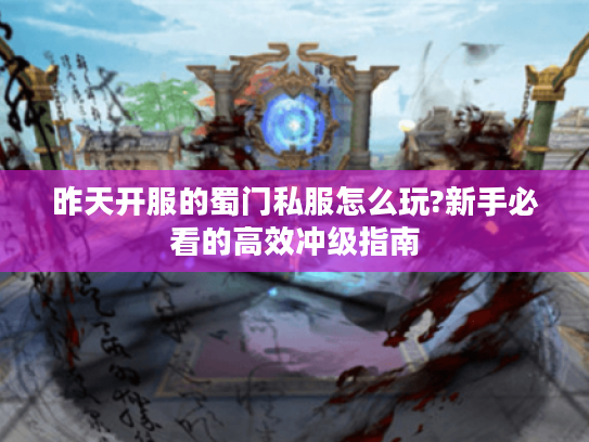 昨天开服的蜀门私服怎么玩?新手必看的高效冲级指南