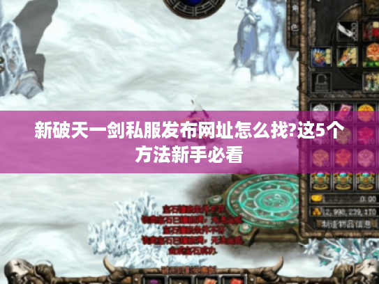 新破天一剑私服发布网址怎么找?这5个方法新手必看