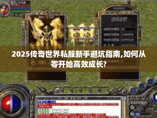 2025传奇世界私服新手避坑指南,如何从零开始高效成长?