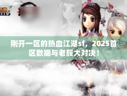 刚开一区的热血江湖sf，2025首区数据与老服大对决！